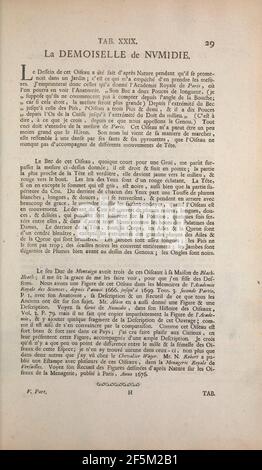 Recueil de divers oiseaux étrangers et peu communs (pagina 29) Foto Stock