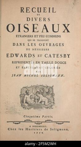 Recueil de divers oiseaux étrangers et peu communs Foto Stock