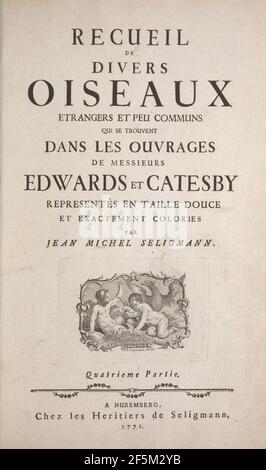 Recueil de divers oiseaux étrangers et peu communs Foto Stock