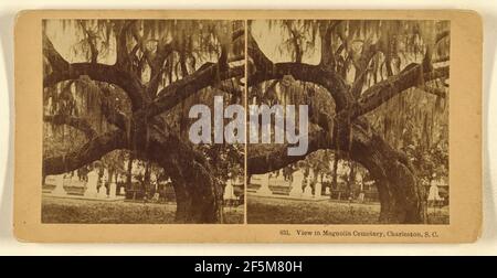 Vista del cimitero di Magnolia, Charleston, S.C. Benjamin West Kilburn (americano, 1827 - 1909) Foto Stock