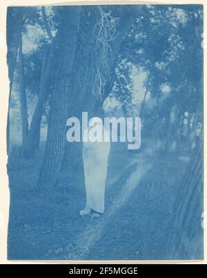 Attesa nella foresta - Cheyenne. Edward S. Curtis (americano, 1868 - 1952) Foto Stock