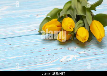 tulipani gialli su sfondo di legno blu, posizionare sotto il testo Foto Stock