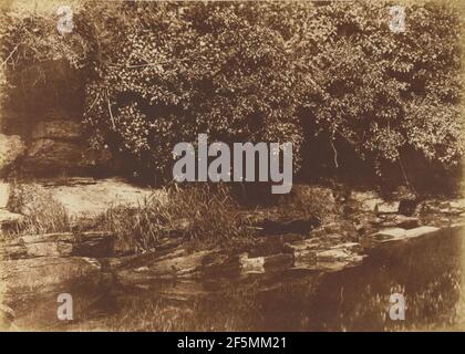 Burnside, Fife. Hill & Adamson (scozzese, attivo dal 1843 al 1848) Foto Stock