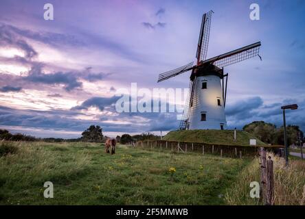 Vecchio mulino a vento a Damme, Belgio noto come Hoeke Mill (Hoekemolen) Foto Stock