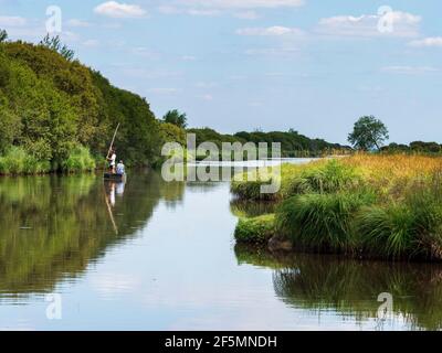 Paesaggio del Parco Naturale Regionale di Grande Brière, Francia Foto Stock