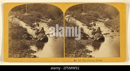 Il Babbling Brook.. Benjamin West Kilburn (americano, 1827 - 1909) Foto Stock