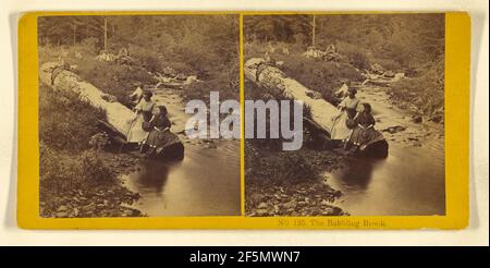 Il Babbling Brook.. Benjamin West Kilburn (americano, 1827 - 1909) Foto Stock