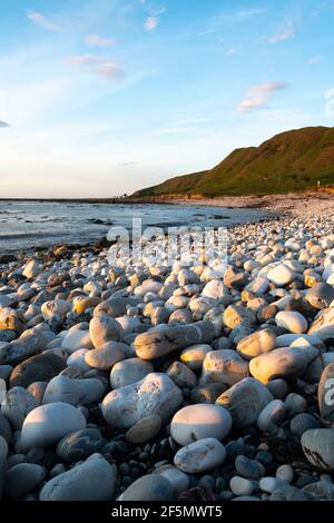 Spiaggia con pietre bianche rotonde, Glenburn, Wairarapa, Isola del Nord, Nuova Zelanda Foto Stock