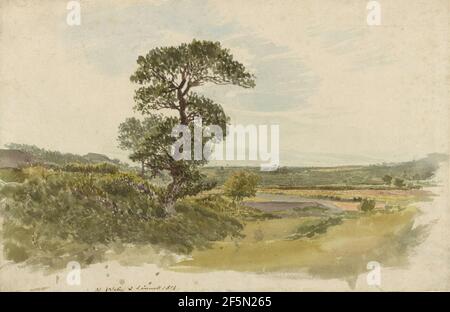 Un paesaggio in Snowdonia con un albero in primo piano. John Linnell (British, 1792 - 1882) Foto Stock