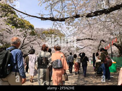 Tokyo, Giappone. 27 Marzo 2021. La gente passeggia sotto i fiori di ciliegio completamente fioriti al parco Ueno di Tokyo in mezzo allo scoppio del nuovo coronavirus sabato 27 marzo 2021. Credit: Yoshio Tsunoda/AFLO/Alamy Live News Foto Stock