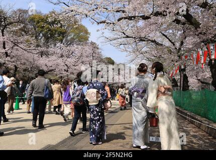 Tokyo, Giappone. 27 Marzo 2021. La gente passeggia sotto i fiori di ciliegio completamente fioriti al parco Ueno di Tokyo in mezzo allo scoppio del nuovo coronavirus sabato 27 marzo 2021. Credit: Yoshio Tsunoda/AFLO/Alamy Live News Foto Stock