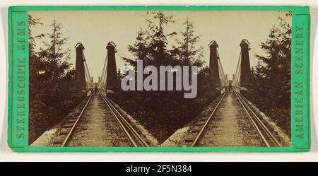 Il Ponte sospeso, dal lato Canada, Niagara. Edward e Henry T. Anthony & Co. (Americano, fondato nel 1862, fuso nel 1902) Foto Stock