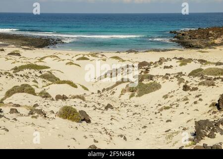 Spiaggia vicino Orzola a Lanzarote sulle isole Canarie in Spagna Foto Stock