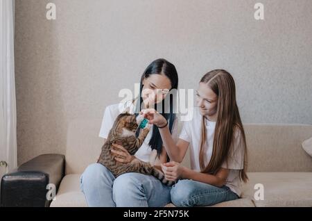 Bella madre con sua figlia. La famiglia è seduta in camera. Una donna gioca con un gattino. Foto Stock