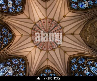 Il soffitto della Chapter House a York Minster, Yorkshire, Regno Unito Foto Stock