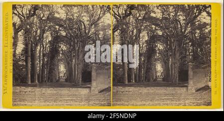 Guy's Cliff - The Avenue, dalla strada. Warwickshire, Inghilterra. Francis Bedford (inglese, 1815/1816 - 1894) Foto Stock