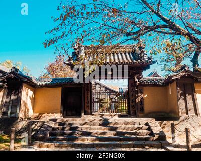 Hyogo, Giappone, 8 novembre 2019: Il vecchio castello in giappone Foto Stock