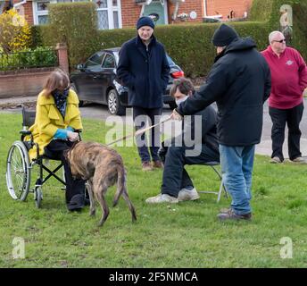 Brentwood Essex 27 marzo 2021 elezioni del Consiglio locale; la Consigliera liberaldemocratico Karen Chilvers (raffigurata in giallo in sedia a rotelle) sulla sua campagna "Wheels on the Green" a Brentwood Essex. Credit: Ian Davidson/Alamy Live News Foto Stock