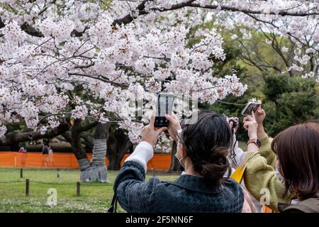 Tokyo, Giappone. 27 Marzo 2021. Le persone scattano foto dei fiori di ciliegio (sakura) al Parco Yoyogi di Tokyo. L'area di Sakura è bloccata dalle linee arancioni per evitare che le folle si riuniscono nelle vicinanze. La gente gode la fioritura dei ciliegi da lontano. Il governo giapponese ha chiuso lo stato di emergenza il 21 marzo, ma ha esortato le persone a non riunirsi per prevenire una recrudescenza di infezioni da COVID-19. (Foto di Viola Kam/SOPA Images/Sipa USA) Credit: Sipa USA/Alamy Live News Foto Stock