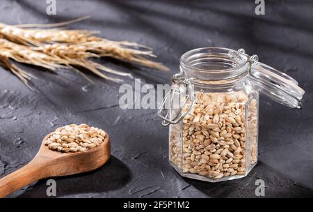 Orzo di perla organico grezzo nel vaso di vetro Foto Stock