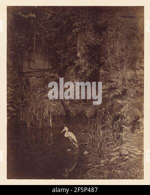 Piscatore, n. 2. John Dillwyn Llewelyn (British, 1810 - 1887) Foto Stock