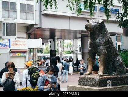 Shibuya, Tokyo, Giappone - la statua di Hachiko, un omaggio al fedele cane Akita che aspettava ogni giorno alla Stazione di Shibuya per il suo padrone. Foto Stock