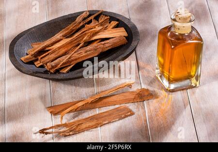 Uncaria tomentosa - pianta medicinale della giungla peruviana Foto Stock