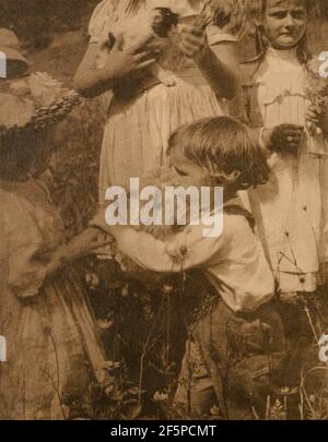 Giorni felici. Gertrude Käsebier (americano, 1852 - 1934) Foto Stock