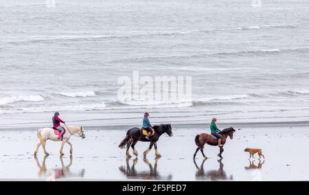 Coolmain, Cork, Irlanda. 27 marzo 2021. Jessie, Susan ed Ella Nicholson salutano un cane Boxer mentre fuori cavalcando a Coolmain, Co. Cork, Irlanda. - credito; David Creedon / Alamy Live News Foto Stock