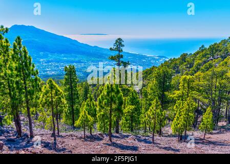 Vista aerea di la Palma dal sentiero escursionistico a Pico Bejenado, isole Canarie, Spagna. Foto Stock