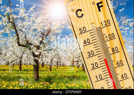 warm temperature at spring with fine weather and sun Foto Stock