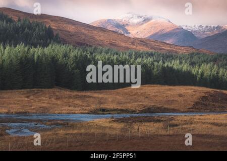 Luce del sole dorata su una montagna innevata e paesaggio di campagna della foresta di pini lungo il fiume Orchy nelle Highlands scozzesi fuori di Tyndrum, SCO Foto Stock