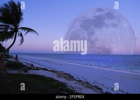 Una luna piena sull'isola tropicale di Zanzibar La costa orientale dell'Africa Foto Stock
