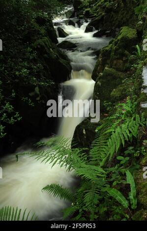 Afon Hwch, Ceunant Mawr. Llanberis. Foto Stock