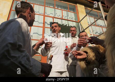 La gente beve pálinka (acquavite di frutta ungherese) durante la preparazione per la processione di carnevale nel cortile di una delle case del centro del sabato di Farsang durante il Carnevale di Busójárás a Mohács nella contea di Baranya, Ungheria. Tradizionale celebrazione annuale mascherata del gruppo etnico Šokci che si tiene alla fine della stagione di carnevale (Farsang) nell'Ungheria meridionale. Foto Stock