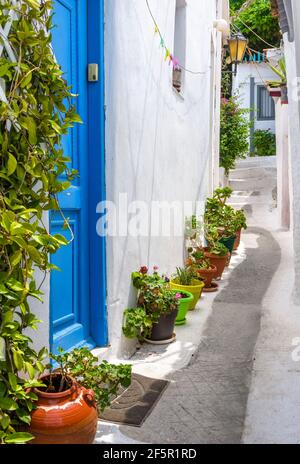 Street nel quartiere di Plaka, Atene, Grecia. Plaka è un'attrazione turistica di Atene. Bel vicolo stretto e accogliente con piante, fiori e vecchi residenziali Foto Stock