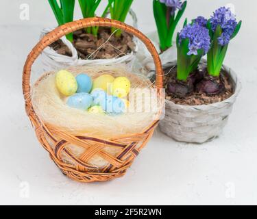 Cesto di vimini con uova di quaglia su sfondo di narcisi gialle e giacinti blu su un tavolo bianco. Primo piano. Concetto di vacanza di Pasqua. Foto Stock