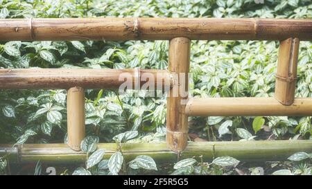 Primo piano immagine di una recinzione di bambù in giardino, colore tonato sfondo orientale, fuoco selettivo. Foto Stock