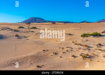 Vista all'alba delle dune di sabbia di Corralejo a Fuerteventura, isole Canarie, Spagna. Foto Stock