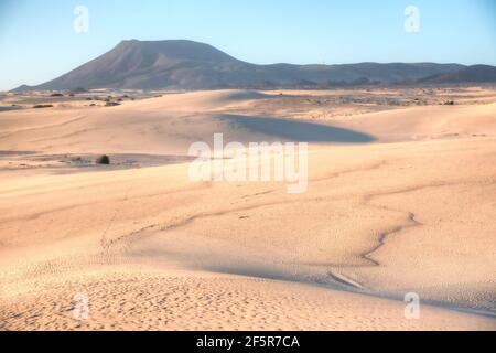 Vista all'alba delle dune di sabbia di Corralejo a Fuerteventura, isole Canarie, Spagna. Foto Stock