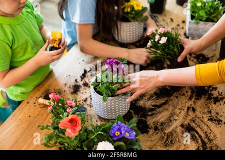 Hobby educativi, sviluppo della famiglia con i bambini Foto Stock