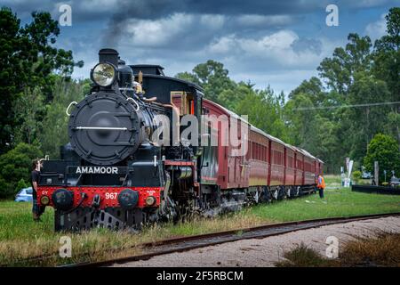 Mary Valley Rattler storica ferrovia esperienza turistica, Spirit of Mary Valley treno a vapore alla stazione di Amamoor. Mary Valley, Queensland, Australia Foto Stock