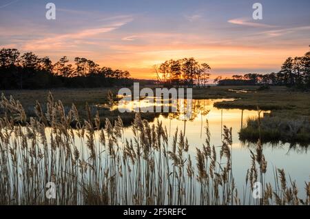 Tramonto e Golden Hour nel Chincoteague National Park, Virginia, USA Foto Stock