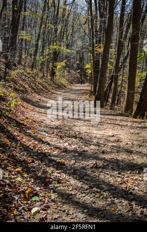 Un percorso attraverso i boschi nel Parco Nazionale di Shenandoah, Virginia, Stati Uniti d'America con il sole che getta ombre degli alberi attraverso il percorso. Foto Stock