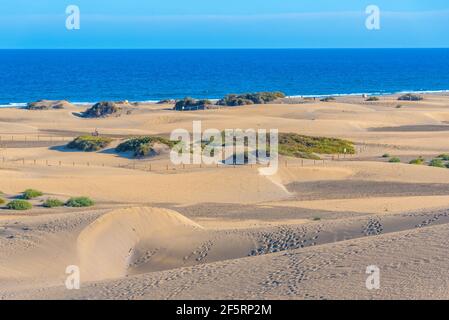 Tramonto su dune di sabbia a Maspalomas, Gran Canaria, Isole Canarie, Spagna. Foto Stock