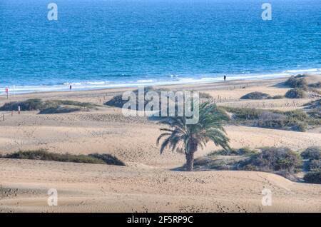 Dune di sabbia a Maspalomas, Gran Canaria, Isole Canarie, Spagna. Foto Stock