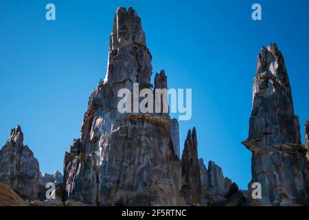 Orlando, Florida. 05 gennaio 2021. Persone che si divertano sulle montagne russe Slinky Dash Dash presso gli Hollywood Studios (190) Foto Stock