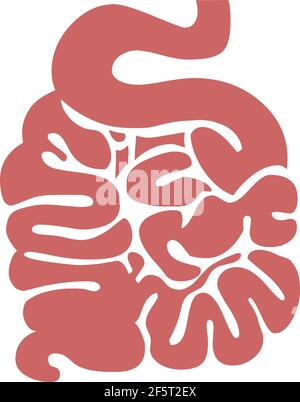 Icona del logo dell'illustrazione dell'intestino tenue, vettore isolato su sfondo bianco Illustrazione Vettoriale