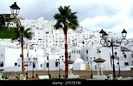 TETOUAN Città del Marocco settentrionale, situata sulle pendici di Jbel Dersa, capitale amministrativa del Rif occidentale, importante industriale e commerciale Foto Stock