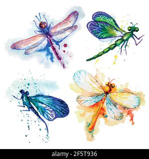 Flying Watercolor Dragonflies Set vettoriale fatto a mano Illustrazione Vettoriale